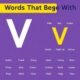 words that begin in v
