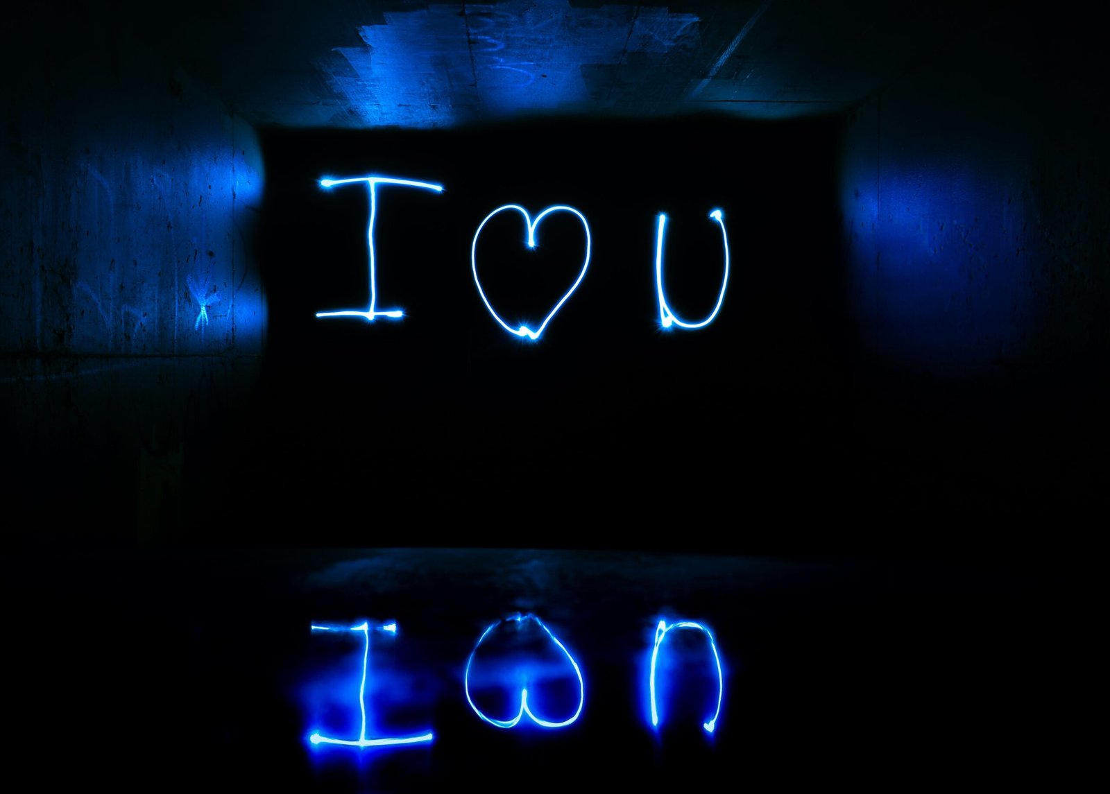 I Love You Bitch